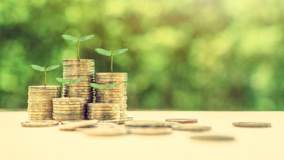 Methodology for the Identification and Quantification of Green Budget Expenditure Actions and Their Environmental Impact