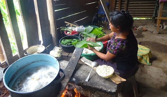 Evaluación del Mercado de Cocinas Limpias en Guatemala