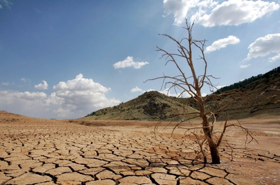 Impactos Transfronterizos del Cambio Climático en España en el sector turístico y medidas de Adaptación