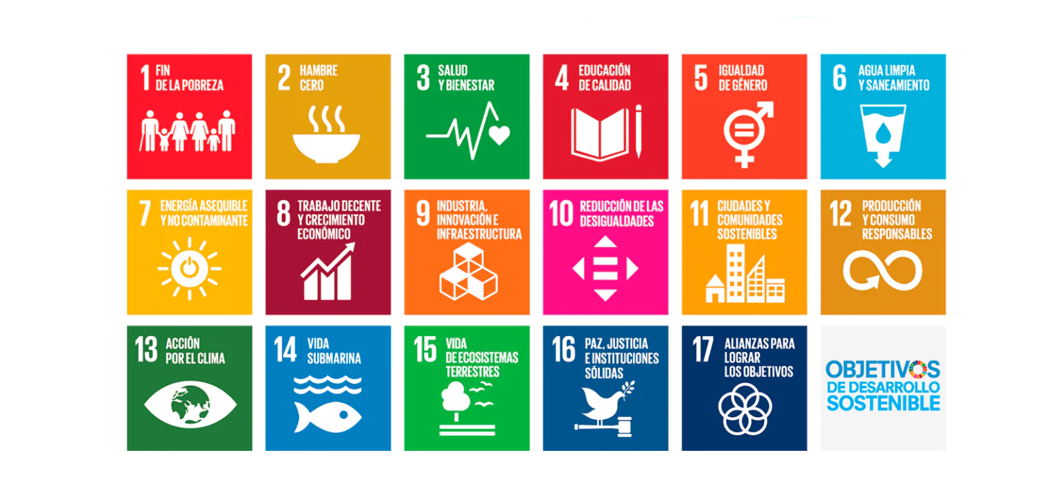 Diagnosis of the economic promotion ecosystem of the Getxo City Council in relation to the SDGs