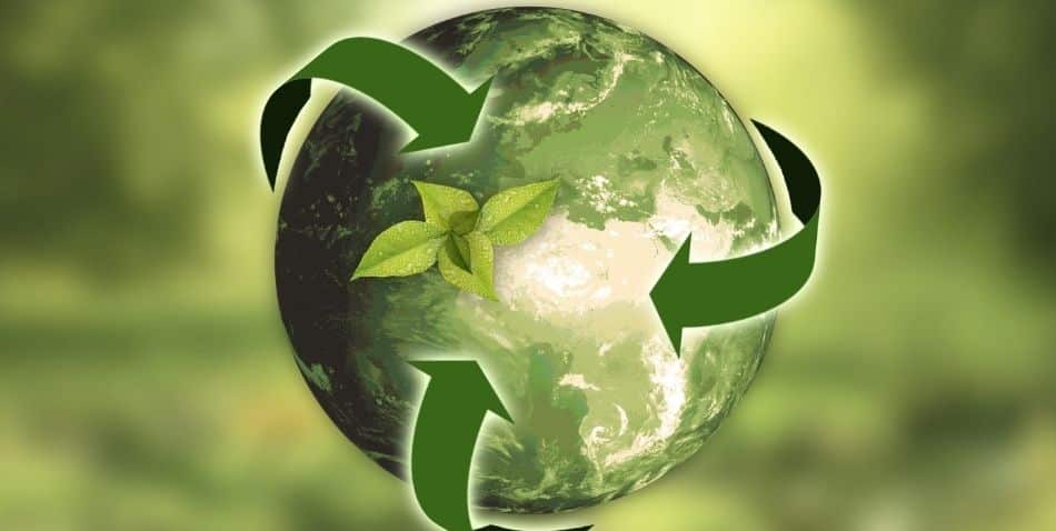 Technical support in the design and drafting of the Cantabrian Bioeconomy and Circular Economy Strategy