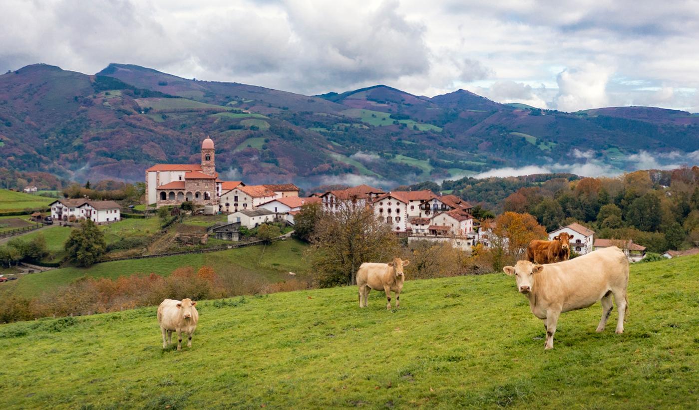 Integrated Energy and Climate Roadmap of Navarra 2050 (ENERKLINA 2050)