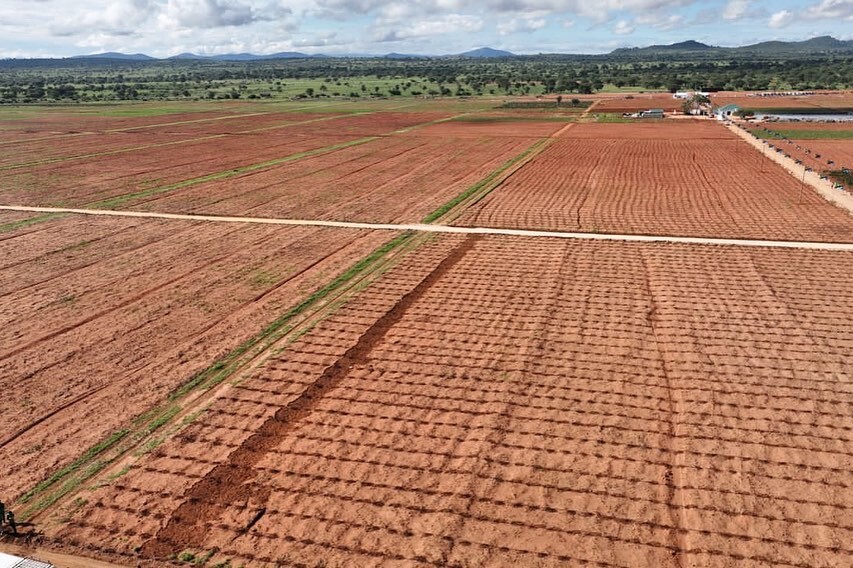 Consultancy to advance financing mechanisms for Climate Smart Agriculture (CSA) and Nature-based Solution (NbS) investments In Tanzania