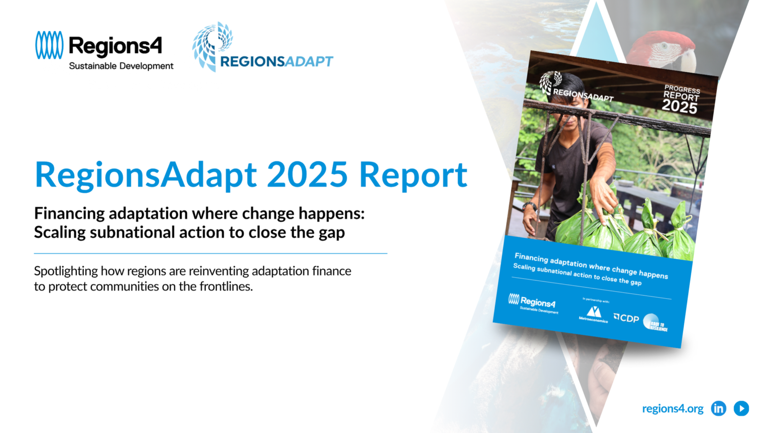 Development of the RegionsAdapt Finance Publication and the RegionsAdapt Toolkit Finance Recommendations