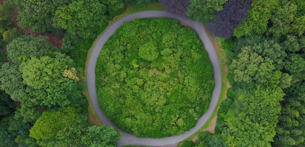 Framework agreement for expert consultancy on circular economy topics to promote the circular economy within the socio-economic fabric of Euskadi – Lot F: Sustainable finance