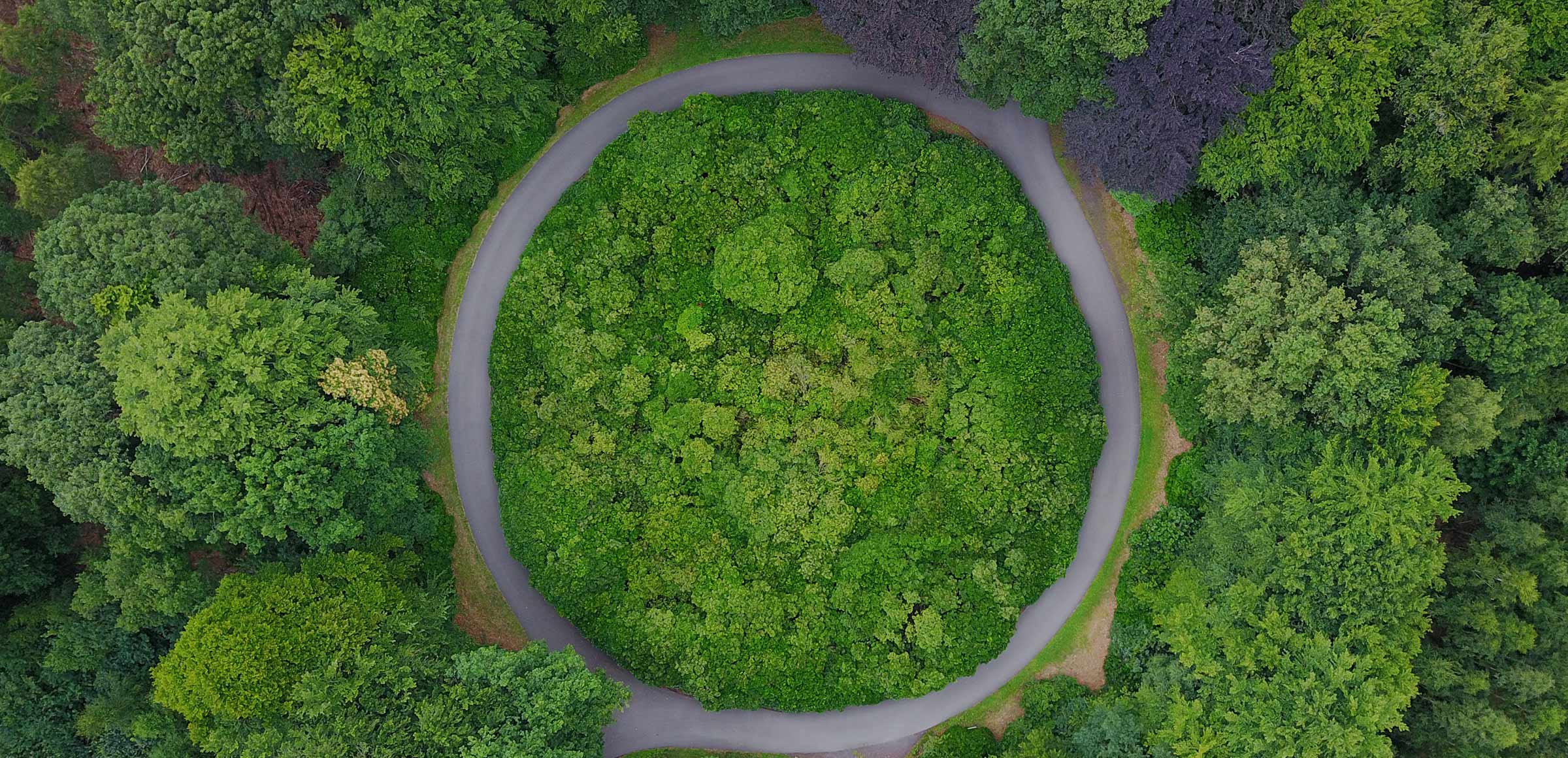 Framework agreement for expert consultancy on circular economy topics to promote the circular economy within the socio-economic fabric of Euskadi – Lot F: Sustainable finance