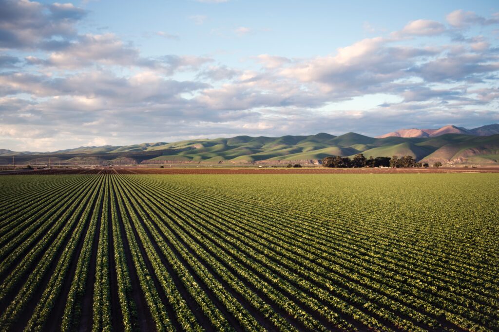 India Country Climate and Development Report (CCDR) – Agriculture Chapter