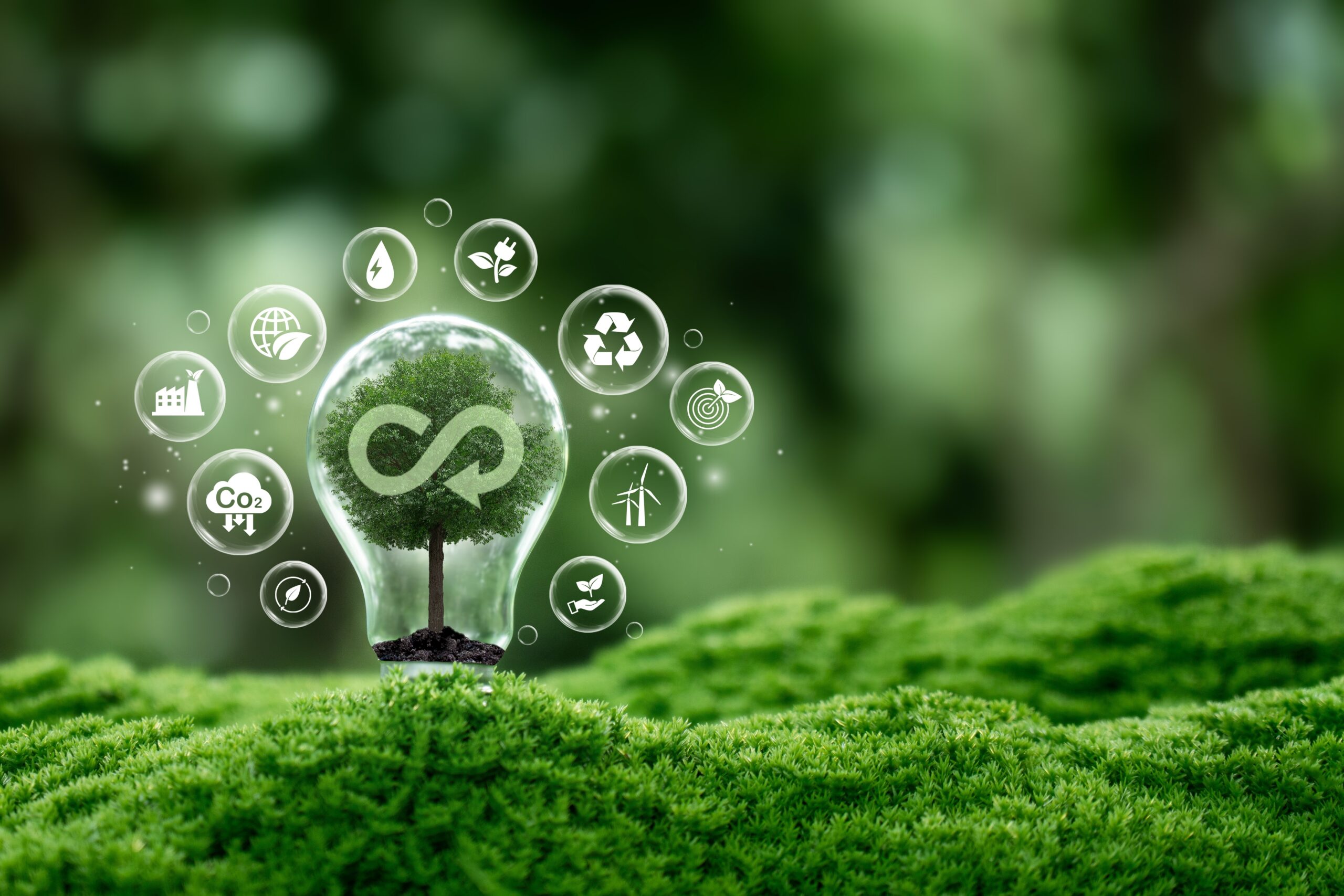Tool for the analysis of the circular economy in chemical industries