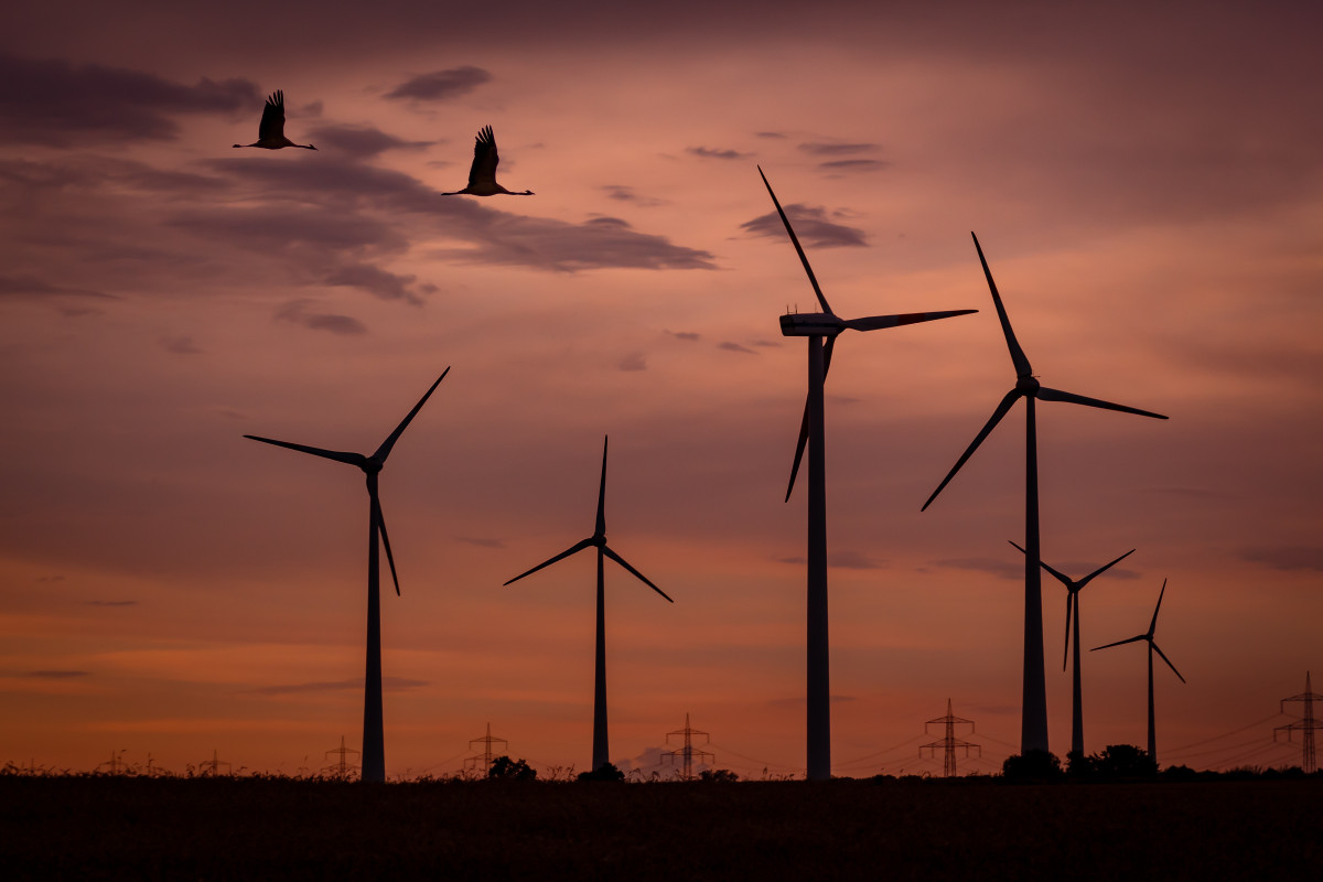 Elaboración de un informe sobre la implantación de energías renovables en el territorio de Aragón