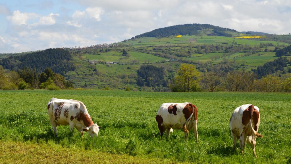 Hoja de Ruta Integrada de Energía y Clima de Navarra 2050 (ENERKLINA 2050)